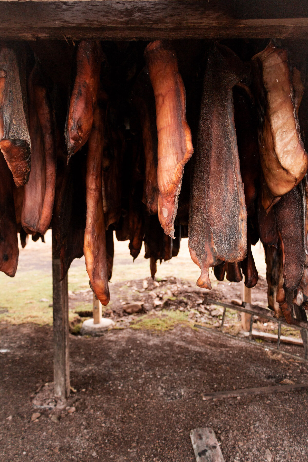 Iceland for Website-20