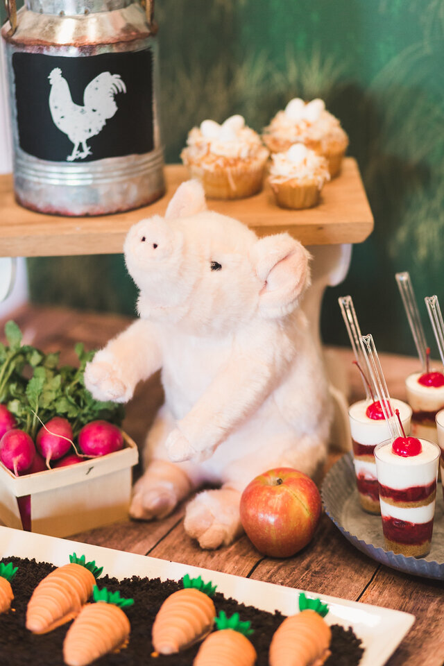 los angeles- kids parties24