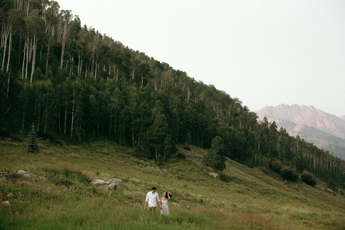 field-29