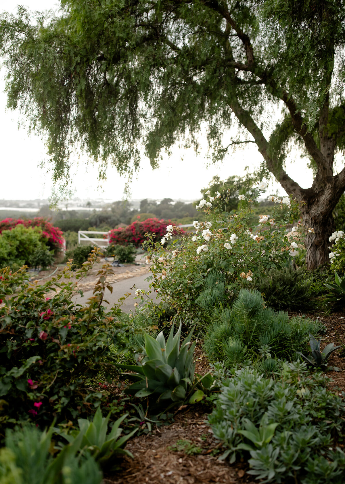 10222023_MaryBeth+BryceWedding_VenturaCA_AnjaJensenPhotography-276