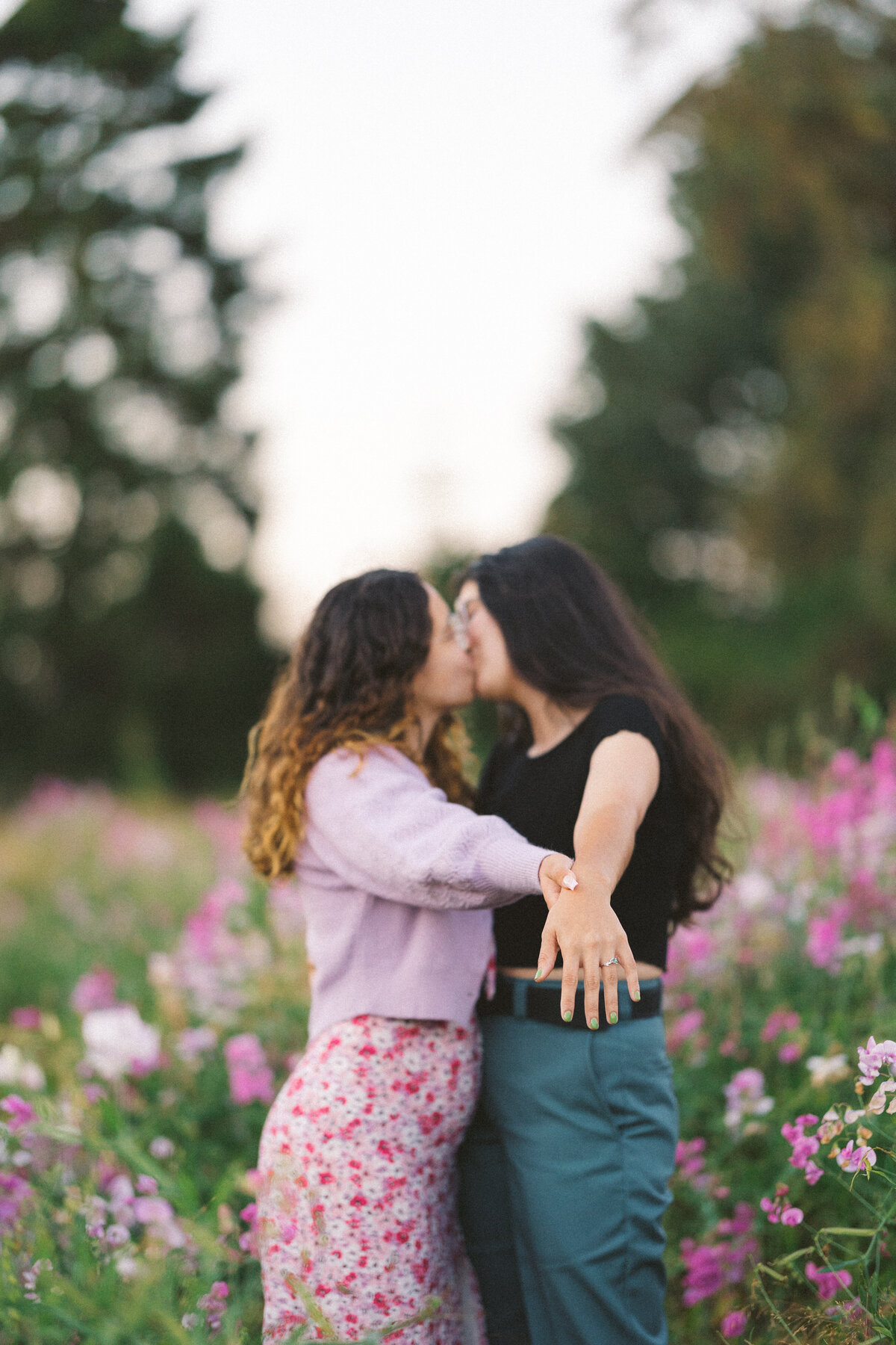 A&H Photo Co. - M&K-112