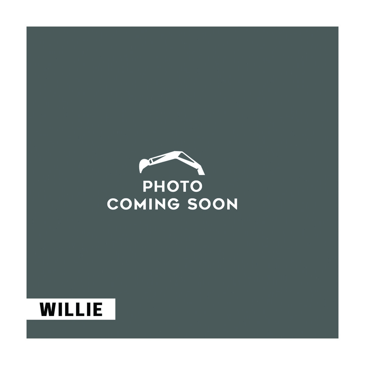 Willie