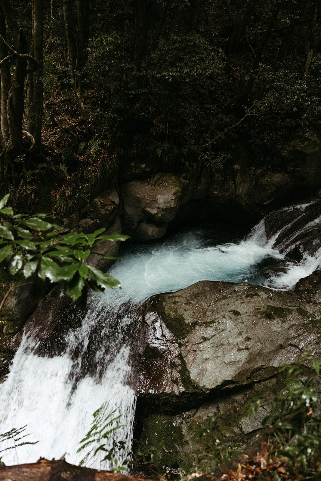 JapanElopement-DallinHazard-434