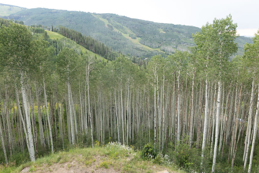 ArianaNicolePhotography_Beaver_Creek_Lodge-0033
