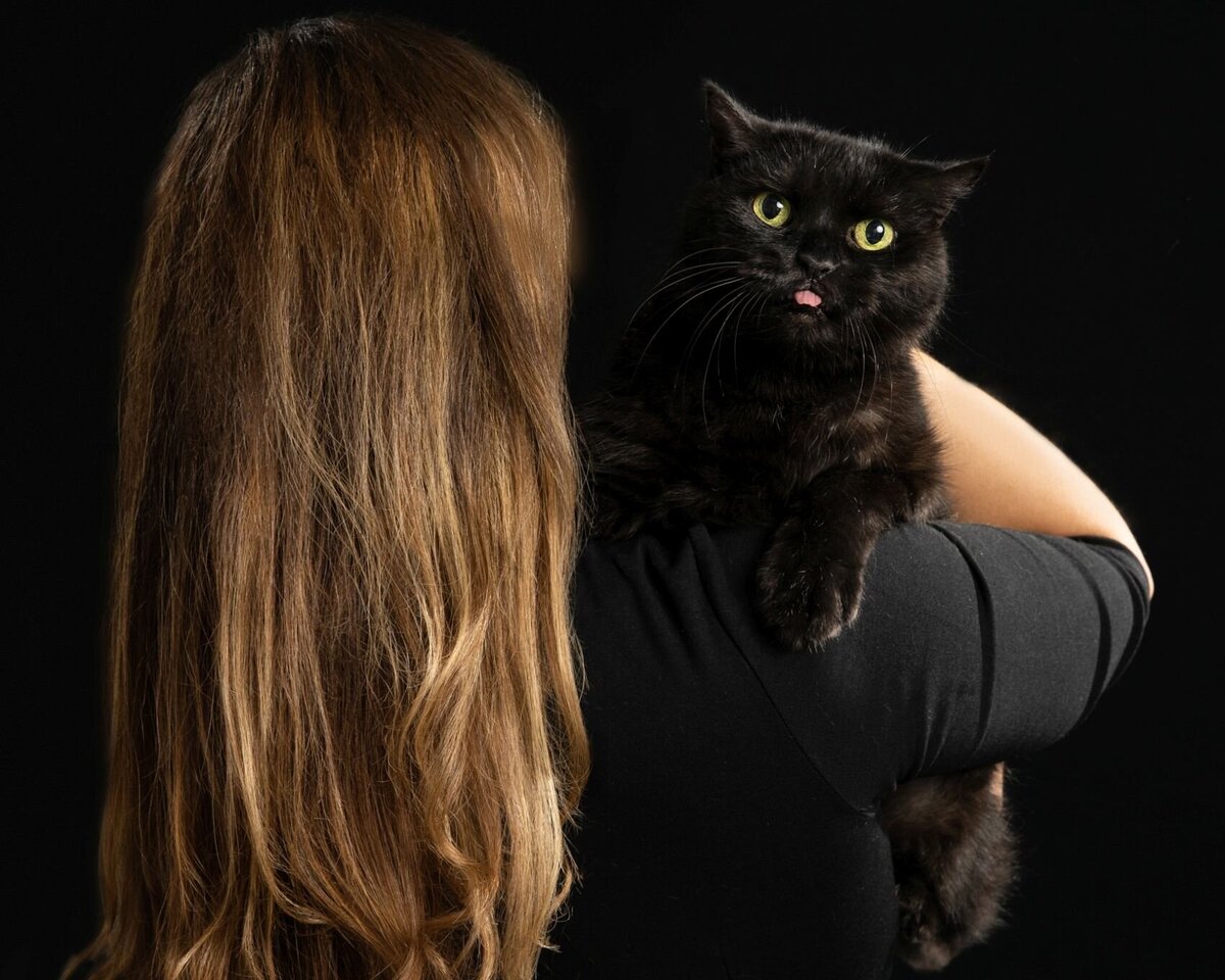 lilla-bordas-portraits-tampa-CAT-photographer1185