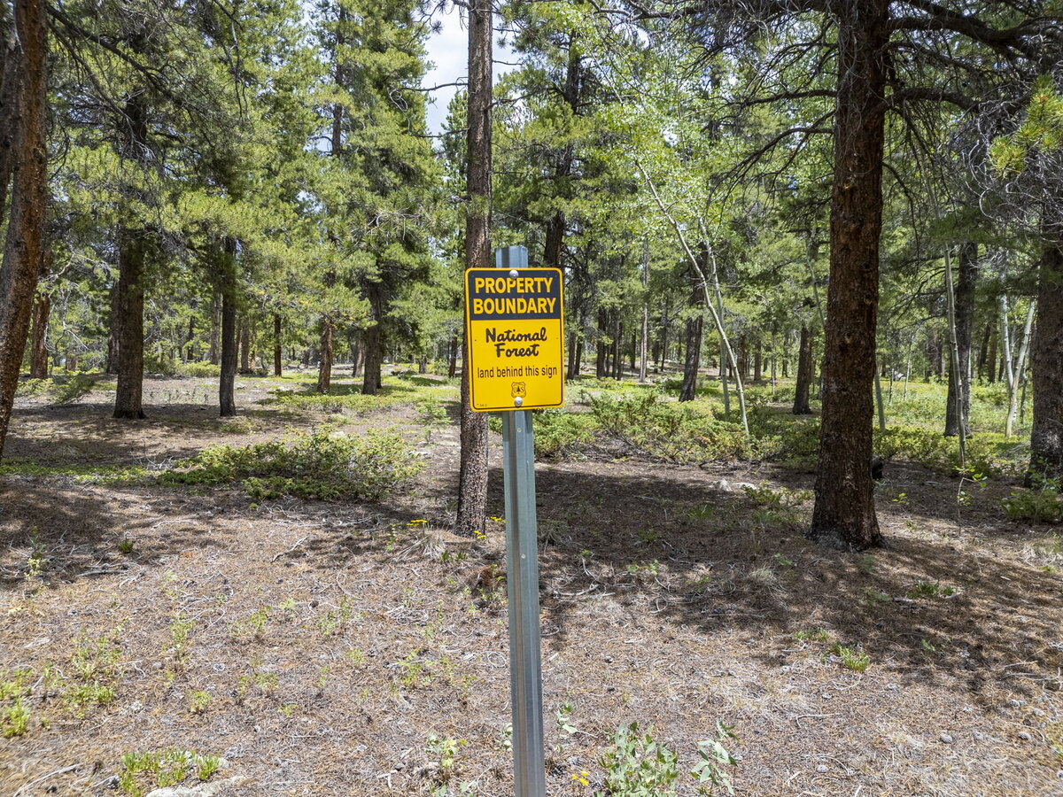 498 Mountain Meadows Dr Black Hawk (43)