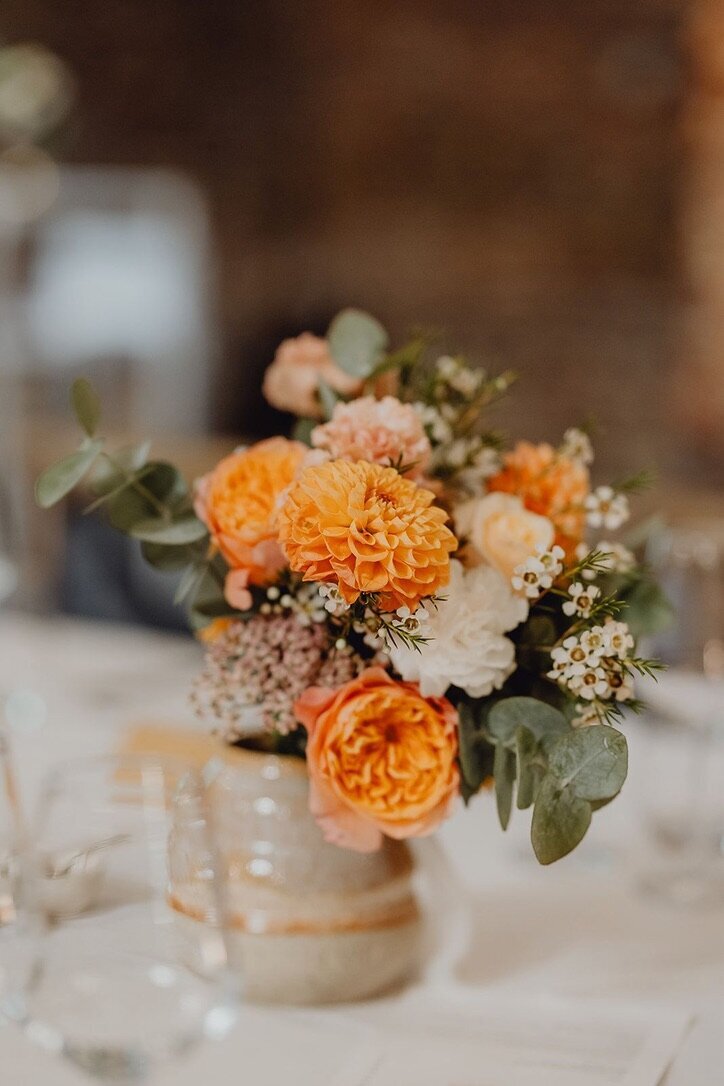 DC313EC8-D72E-4891-9A08-7F4442C82FA4_1_105_c