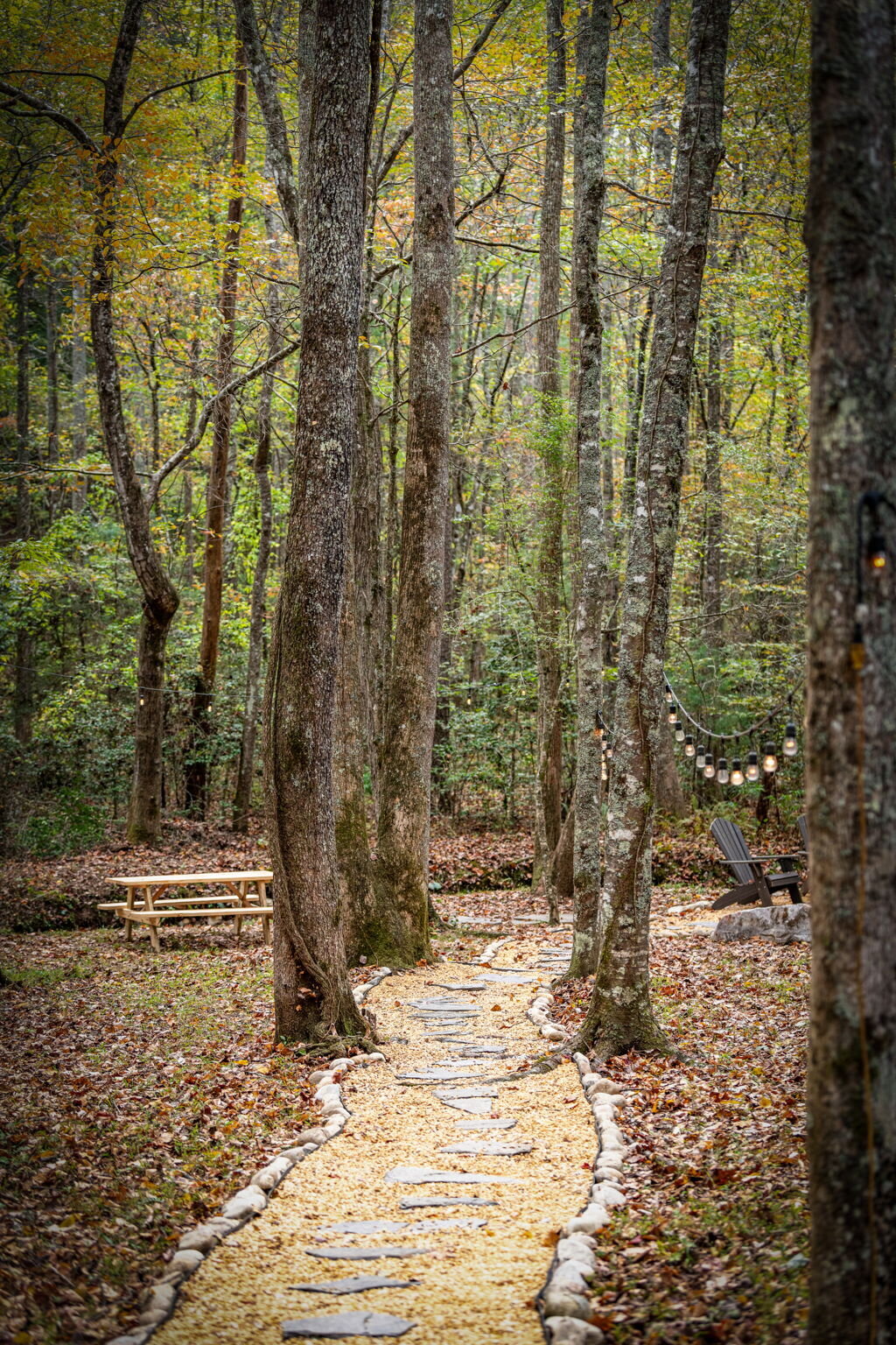 36Shady-Grove-Cabin-Blue-Ridge-GA_7023_Path