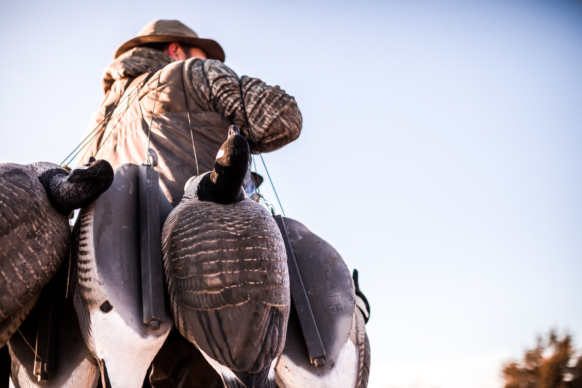 carrying decoys