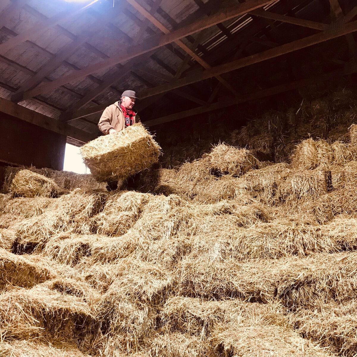 Family farm selling first and second cut hay