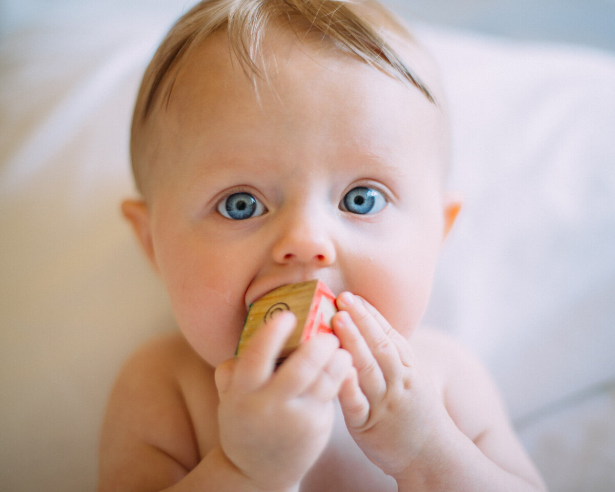 Ainsley-Greene-Showit-Template-Family-Photographer-23