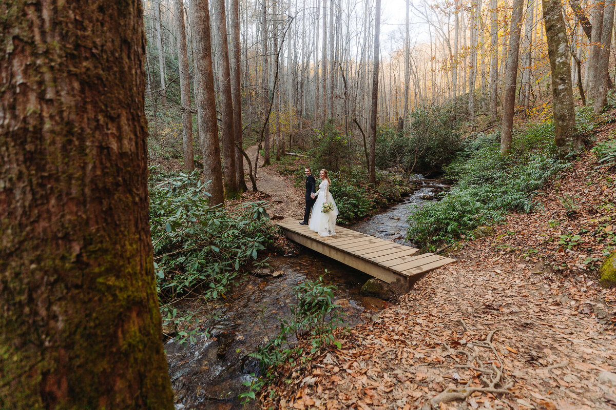 Moore-Cove-Falls-NC-Elopement-24