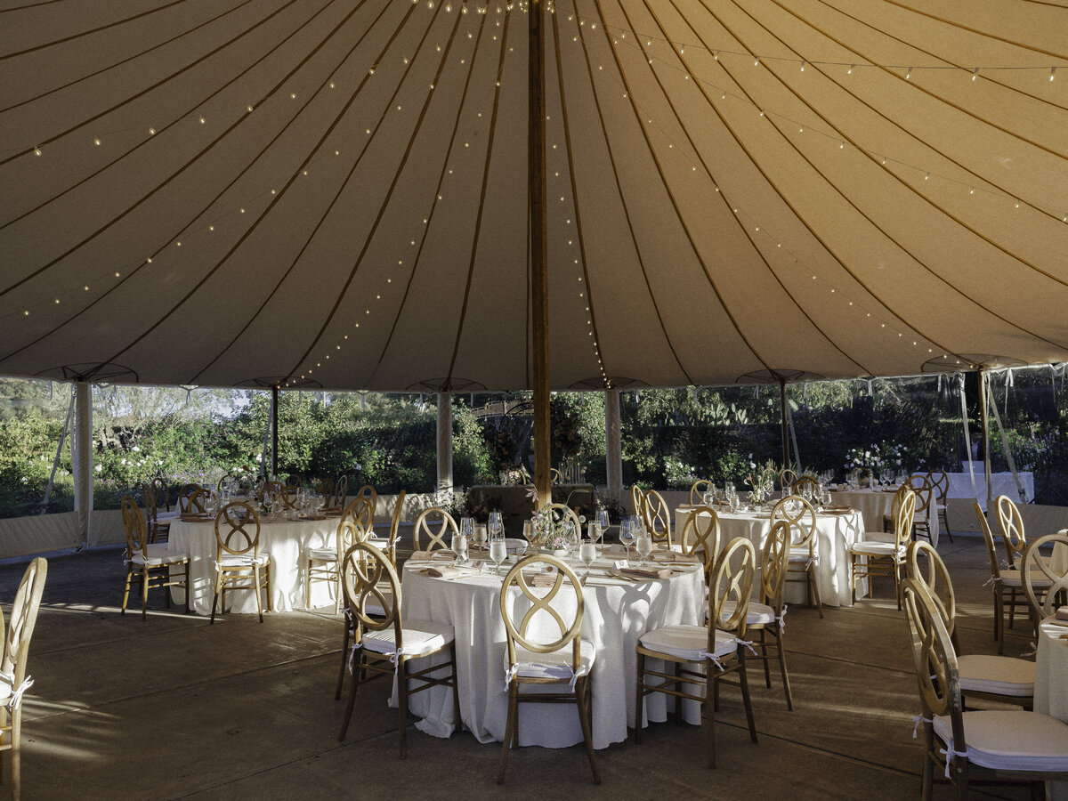 Audrey+Benji|Wedding-#-739