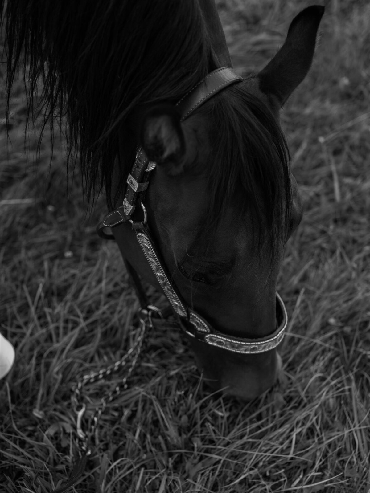 John and Kathleen Bonham Wedding-423