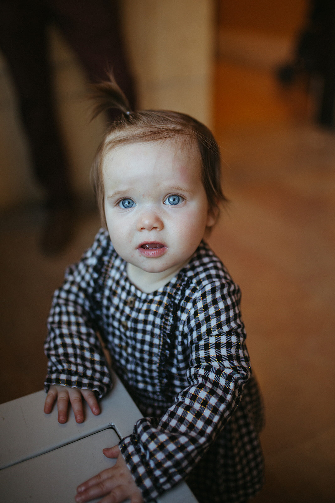 The Holland Family Photos-7764