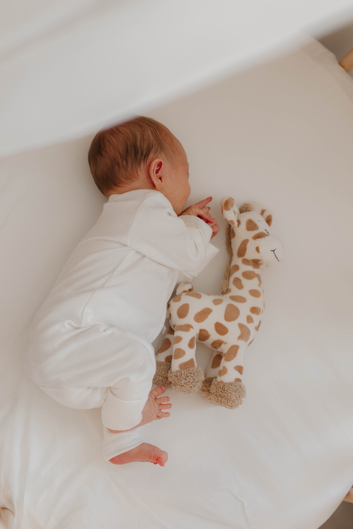 newborn photography cairns