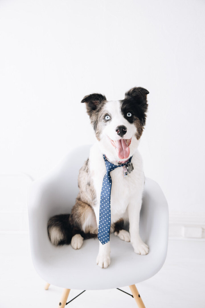 San Francisco Family Photographer Alyx Jones48