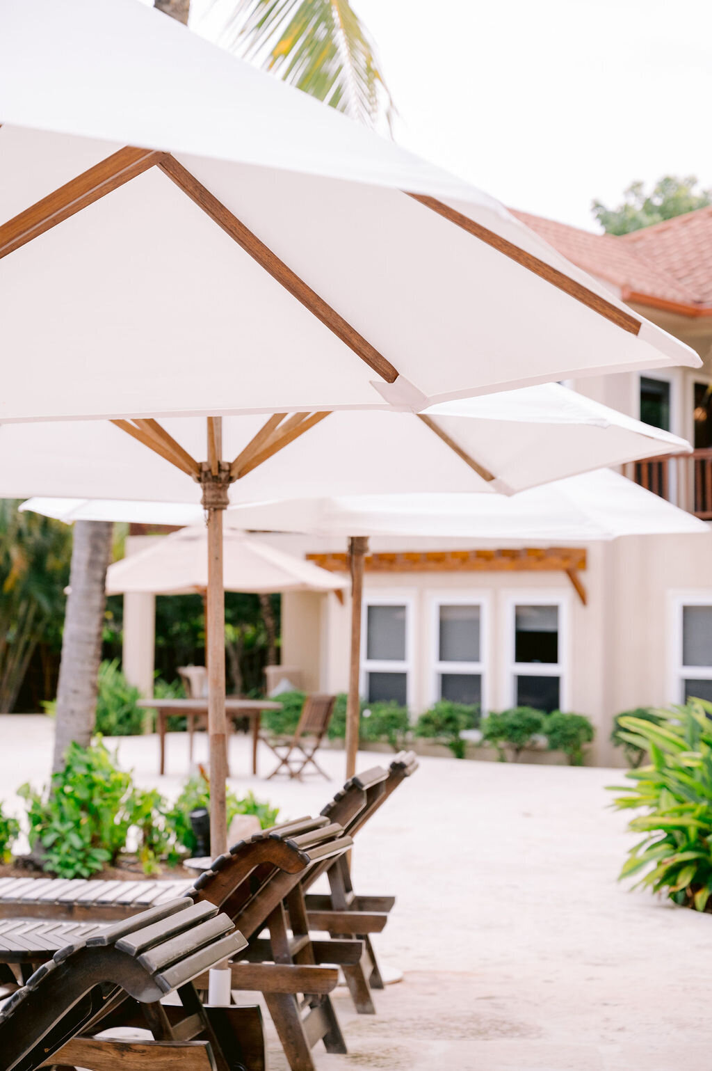 Tene-Caleb-Sneak-Peeks-0127