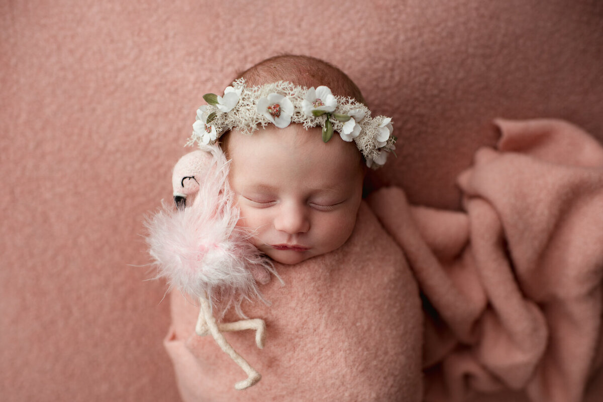 dallas-newborn-photography-10