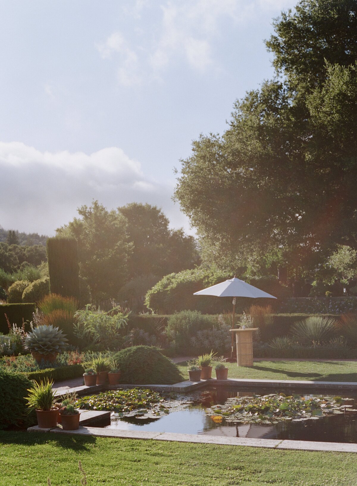 Sarah + Ainsley Filoli California Wedding Sneak Peeks Cassie Valente Photography 0055