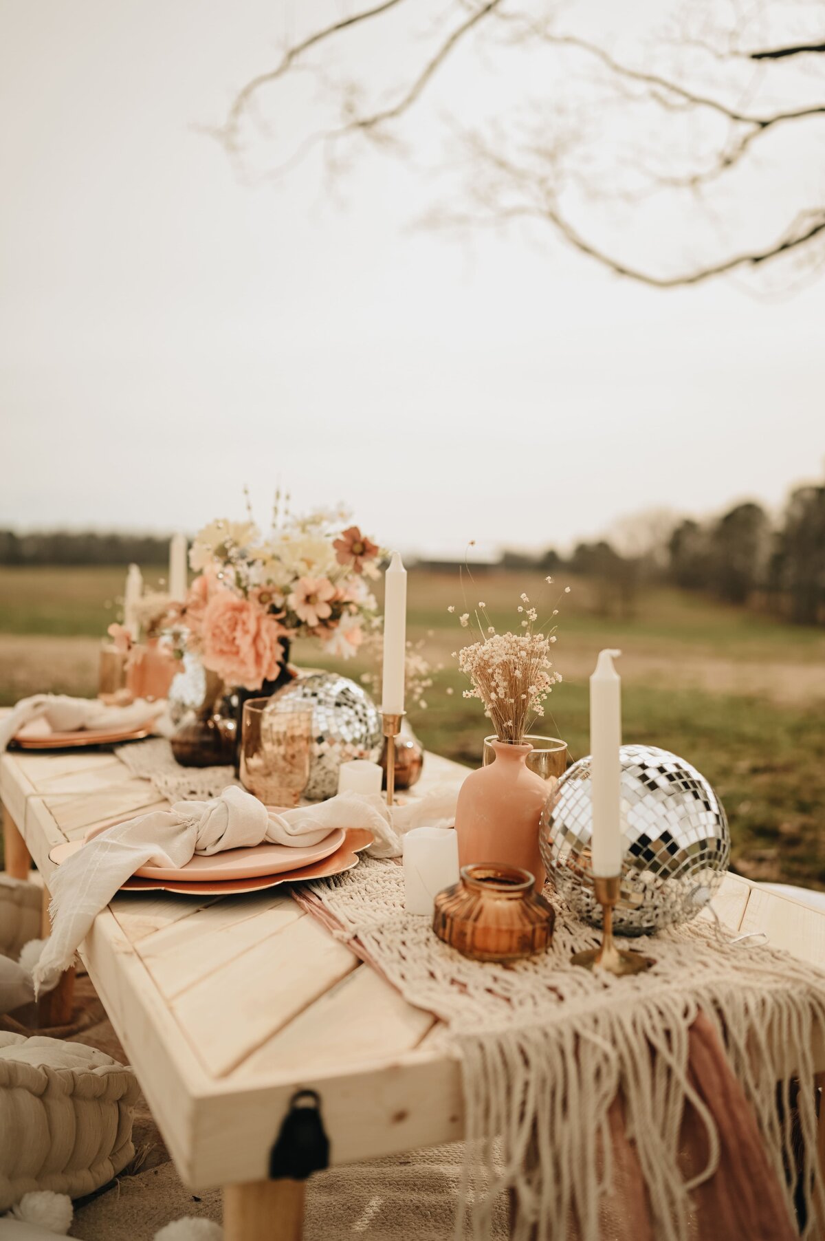Boho-Picnic-Chattanoooga-Wedding-and-Event-Planner-Wild-Magnolia-Events-and-Design- (3)