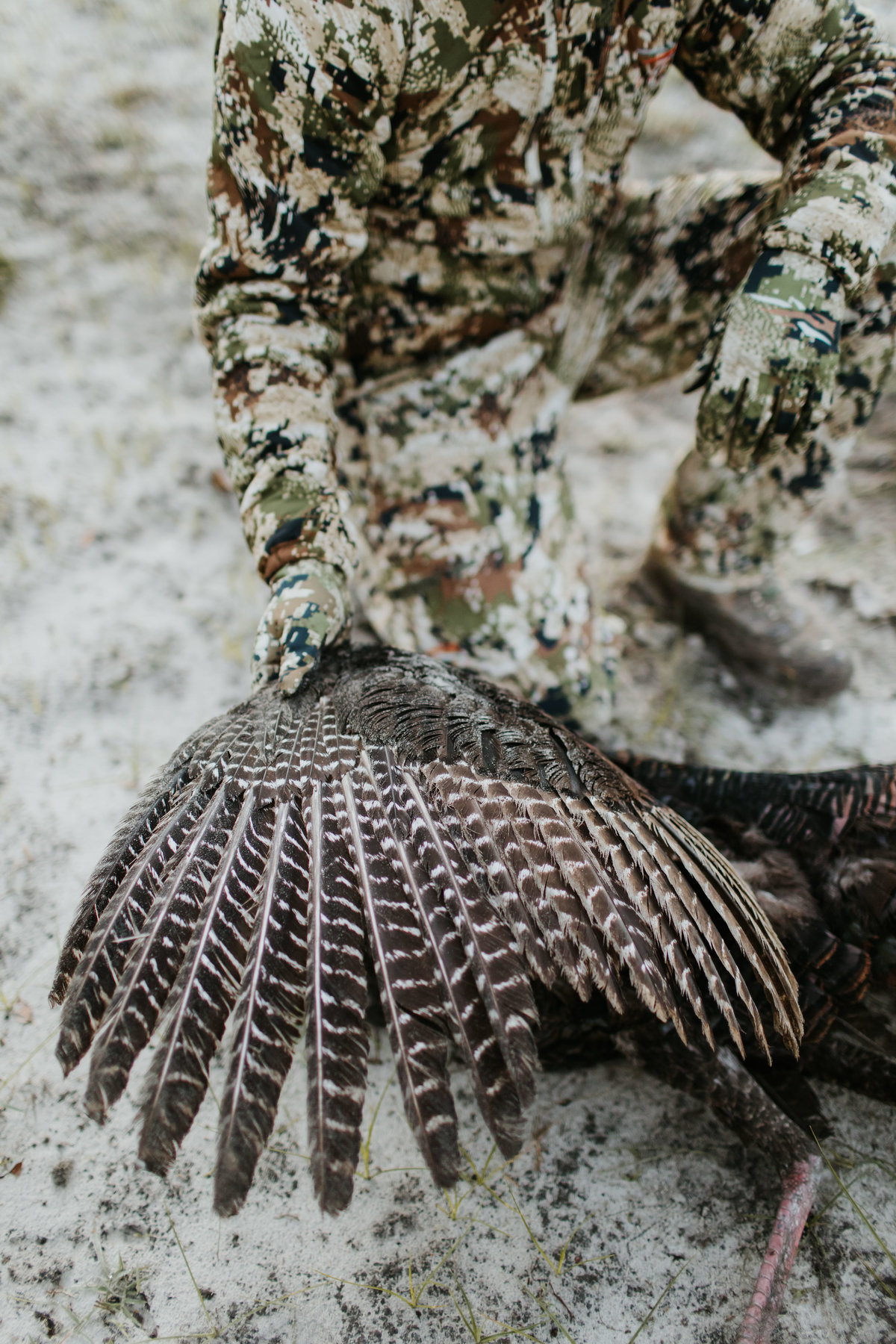 Charleston-sc-turkey-hunting-lifestyle-photography-6