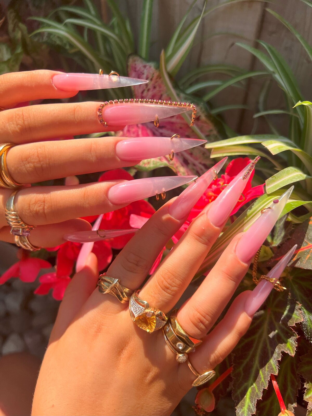 pink and chains bianca
