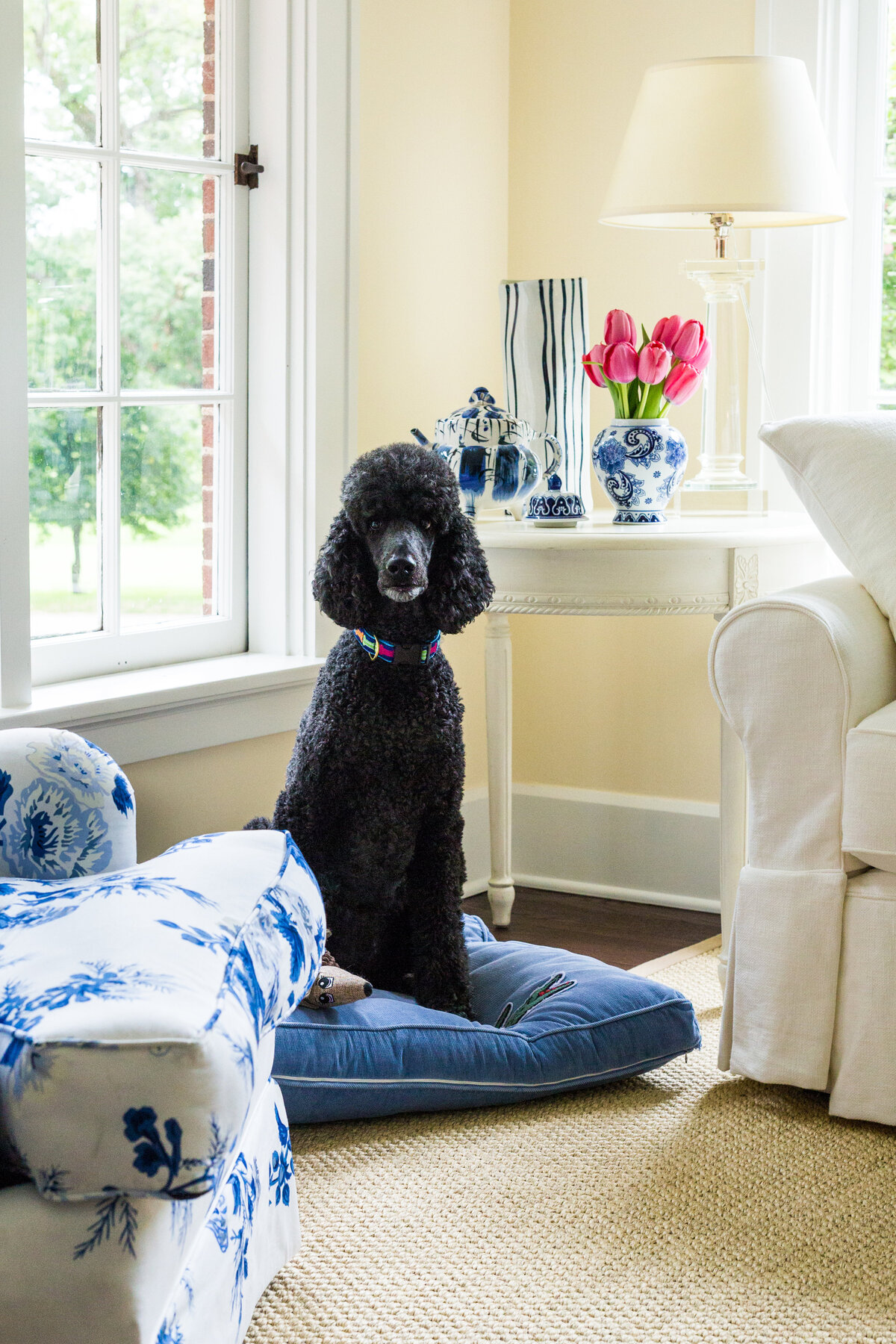 Interiors Sept. 2016-0011