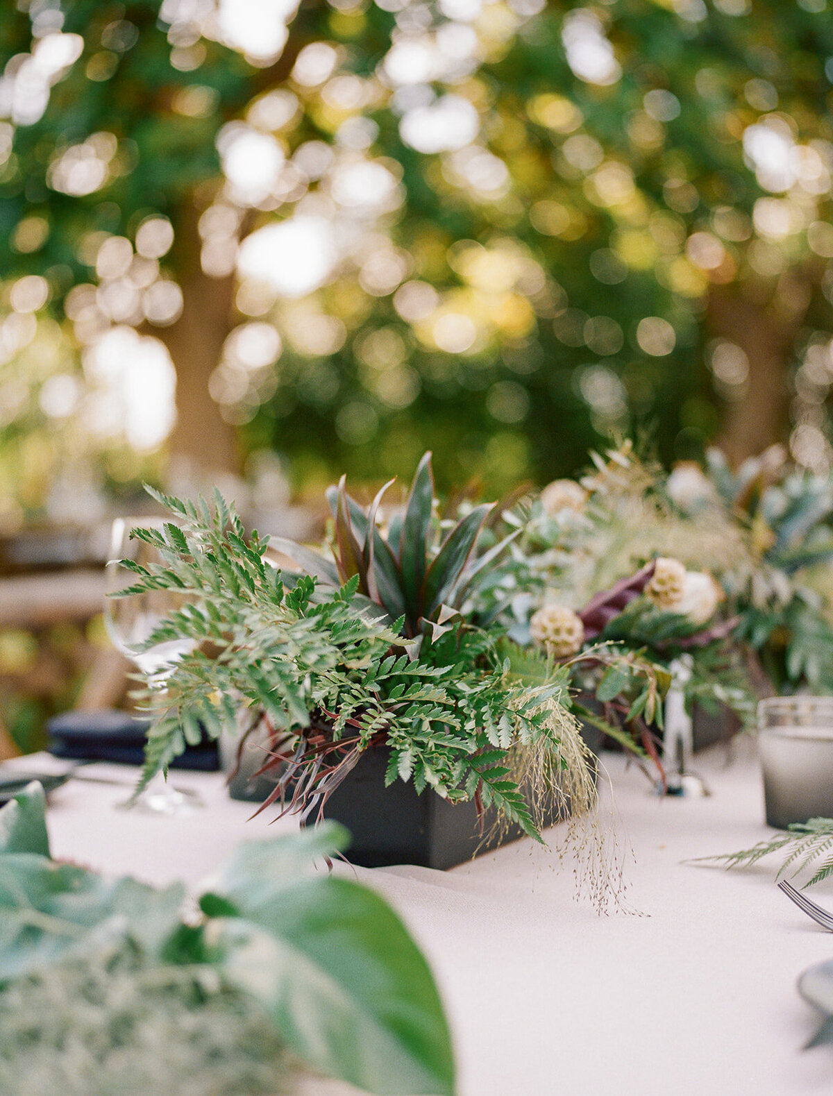 Nate-JT-Wedding-Delivered-highlights-299_websize