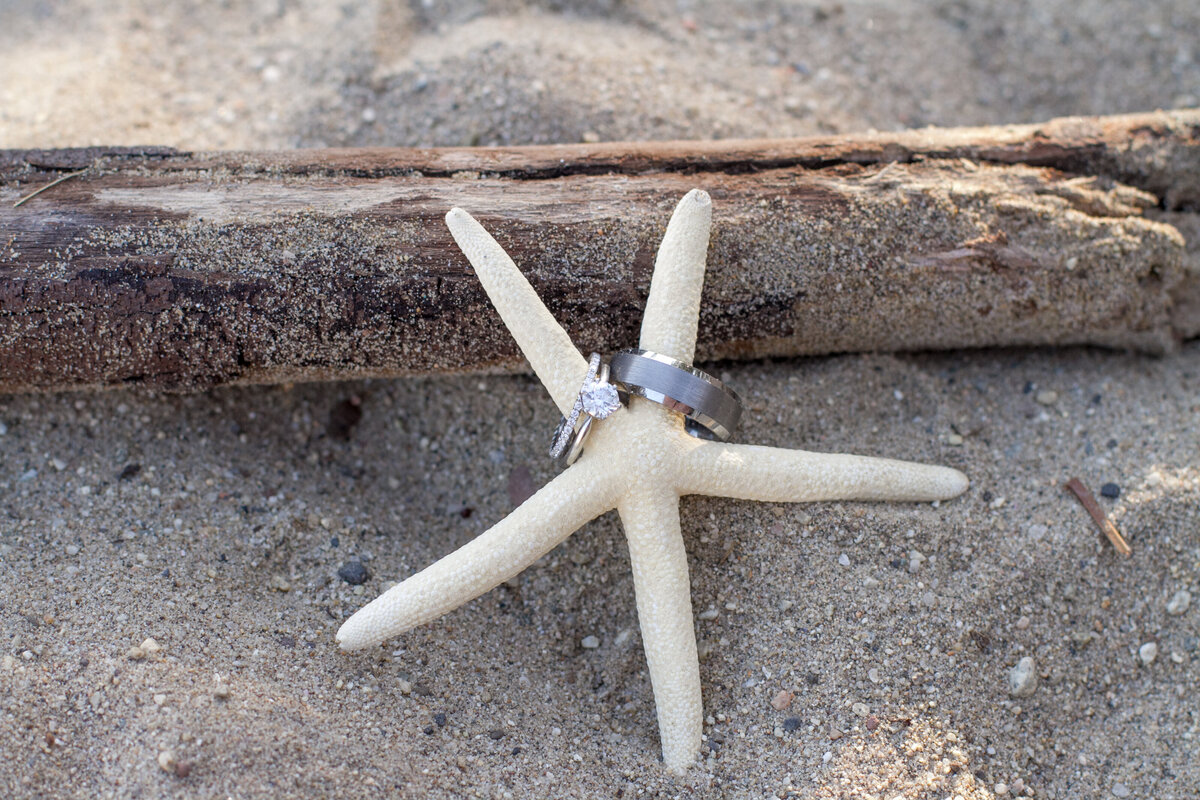 Wedding-hausmann-cellar-to-sea-events-41