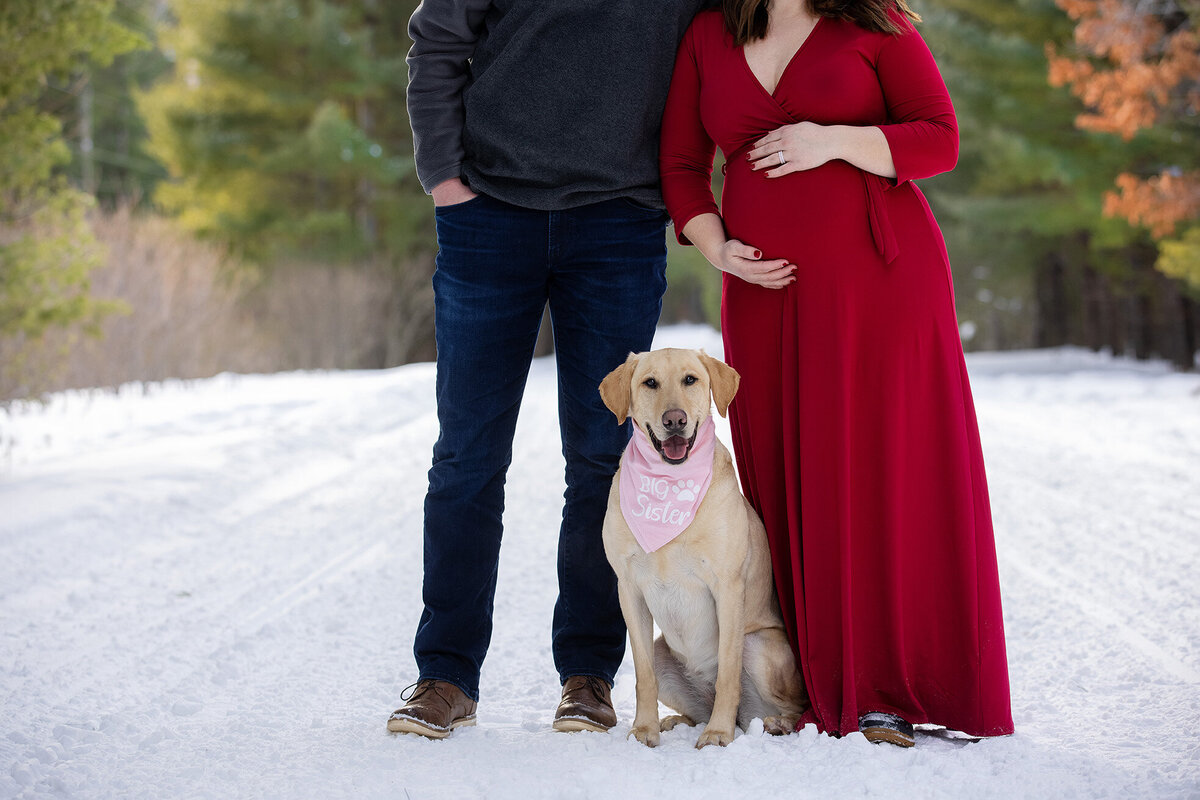 Maternity Family Portrait Akeley Minnesota Studio 64 Photography