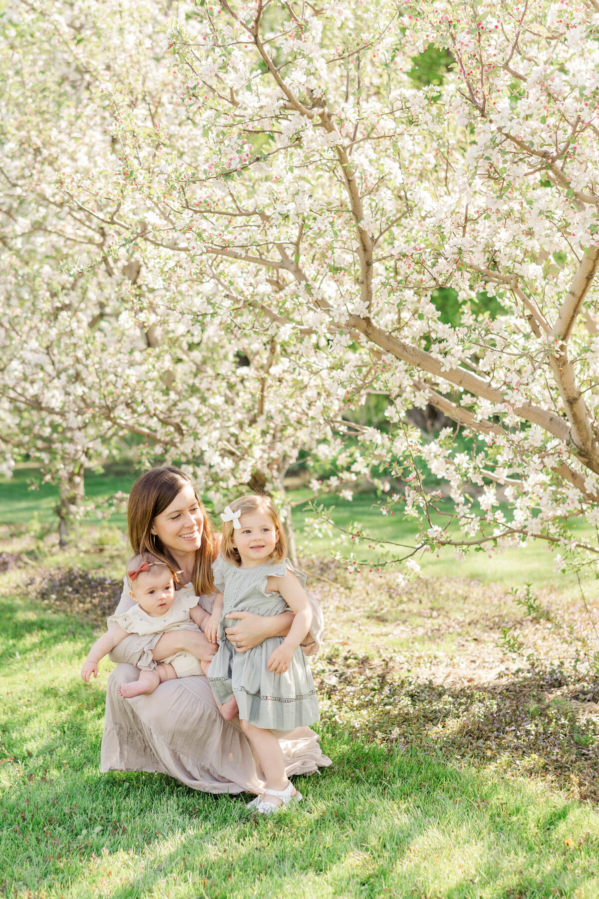Minneapolis Cherry Blossom Motherhood Session