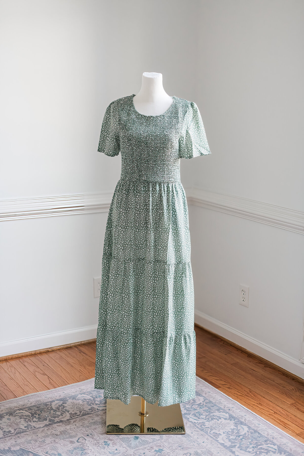 Maternity Newborn Family Photography Greenville SC-2