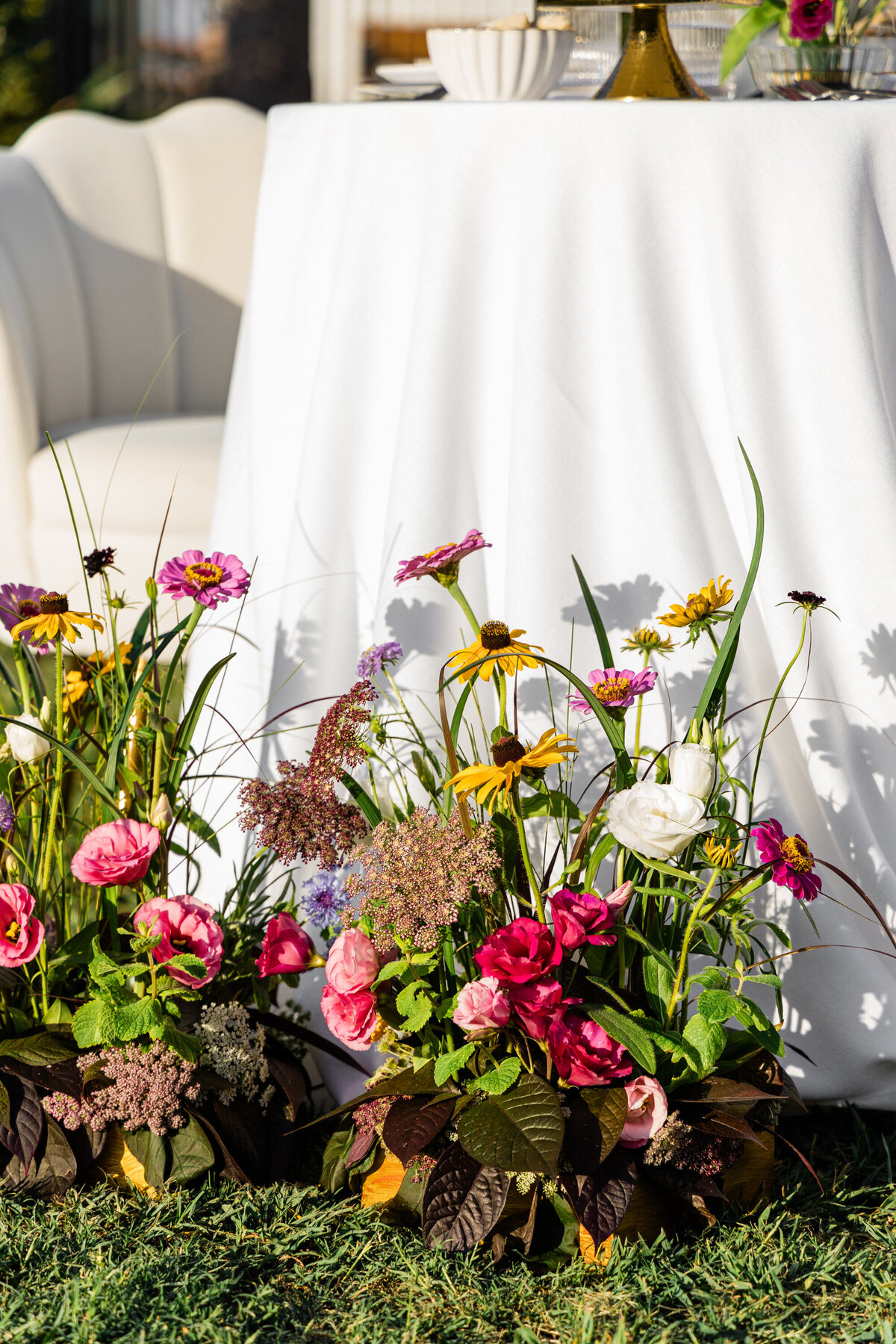 pink yellow and white wildflowers against white backdrop