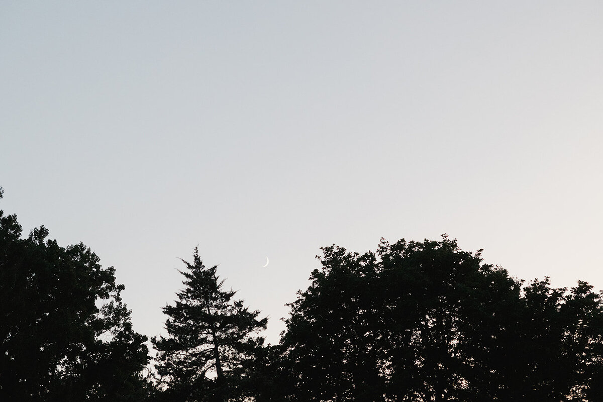 Lauren & Paul_s Sneak Peeks 74