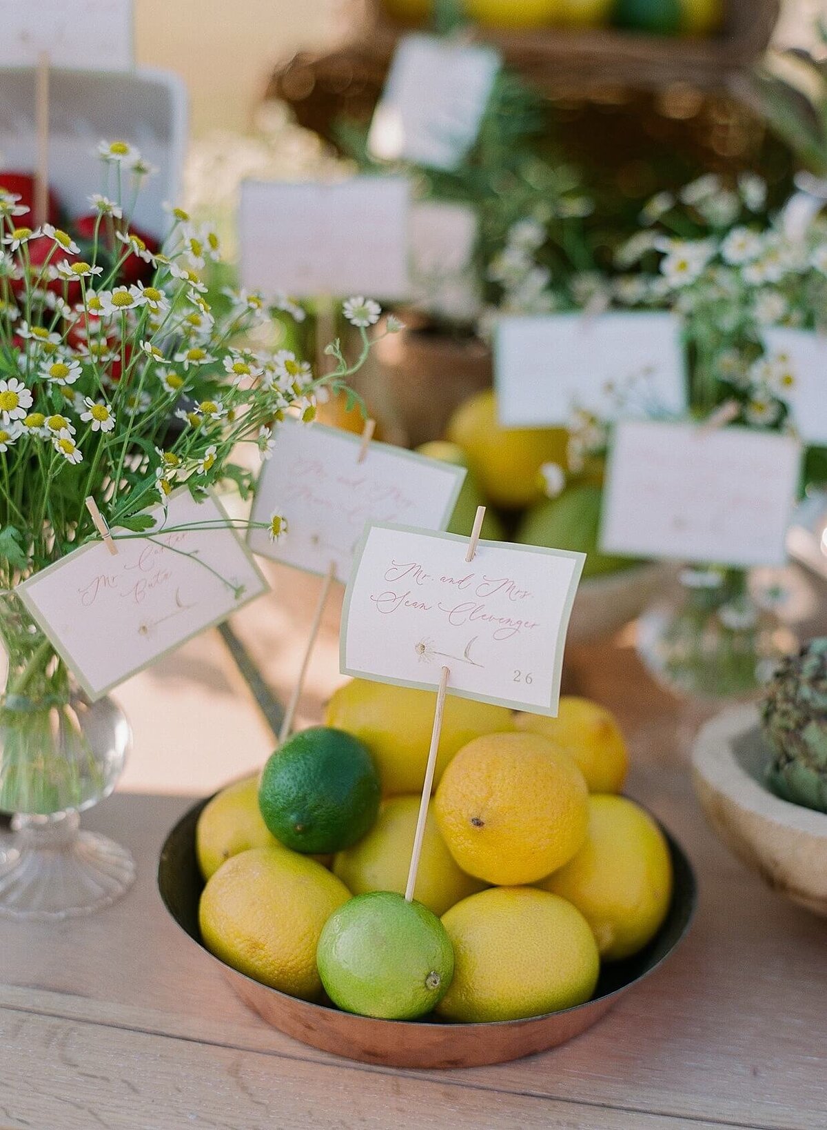 luxury_virginia_wedding_planner_best_virginia_wedding_planner_Richmond-wedding_planner_charlottesville_wedding_planner_eastern_shore_event_designer_charleston_wedding_planner_1414