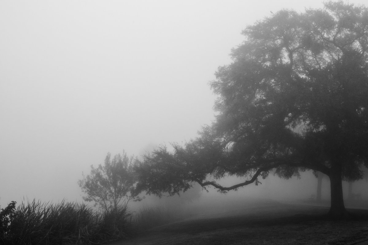 Fog at Woodlawn Lake early morning