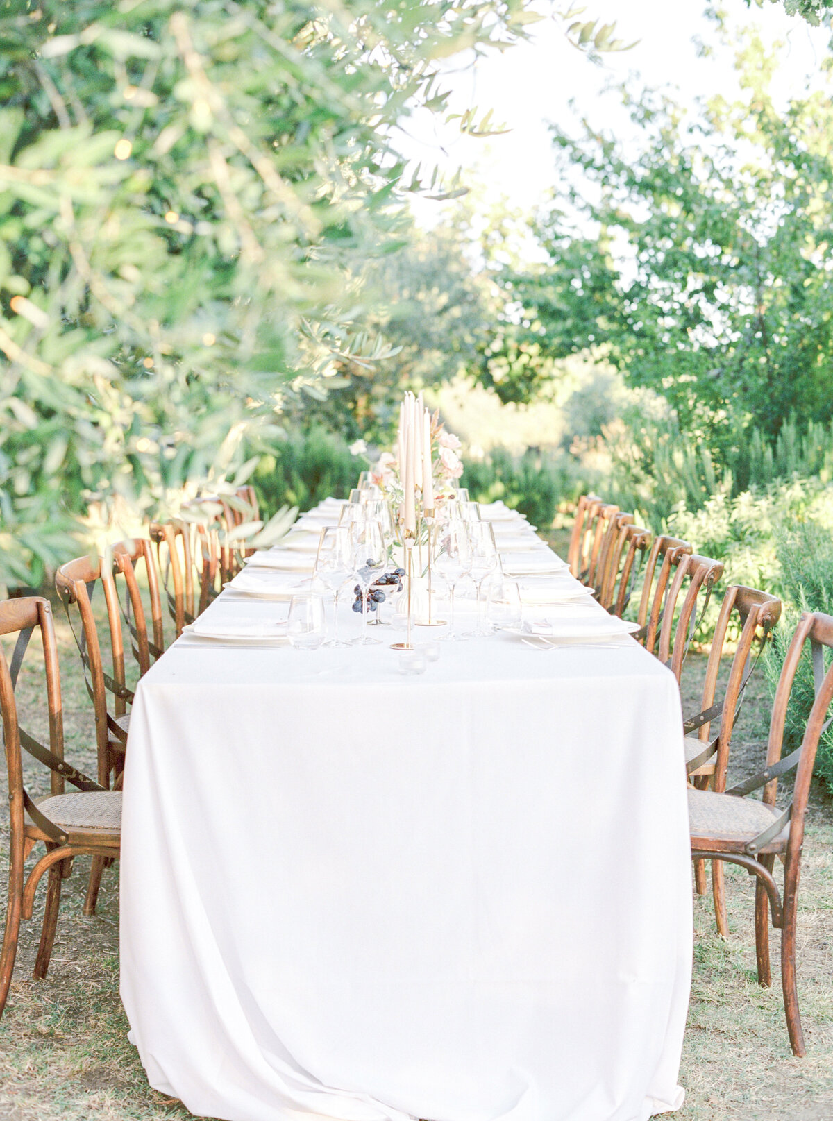 Film photograph of wedding reception table among olive trees photographed by Italy wedding photographer at Villa Montanare Tuscany wedding