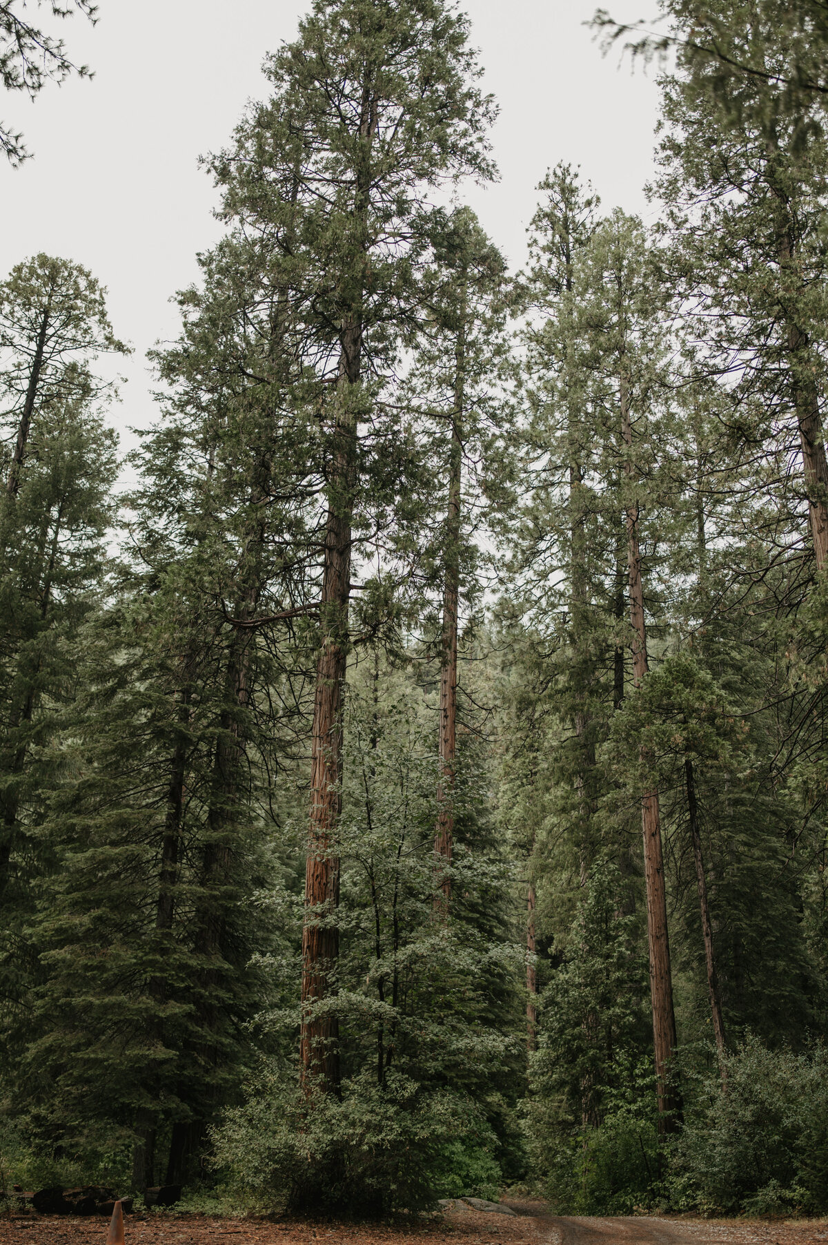 MountainTimePhotography-4