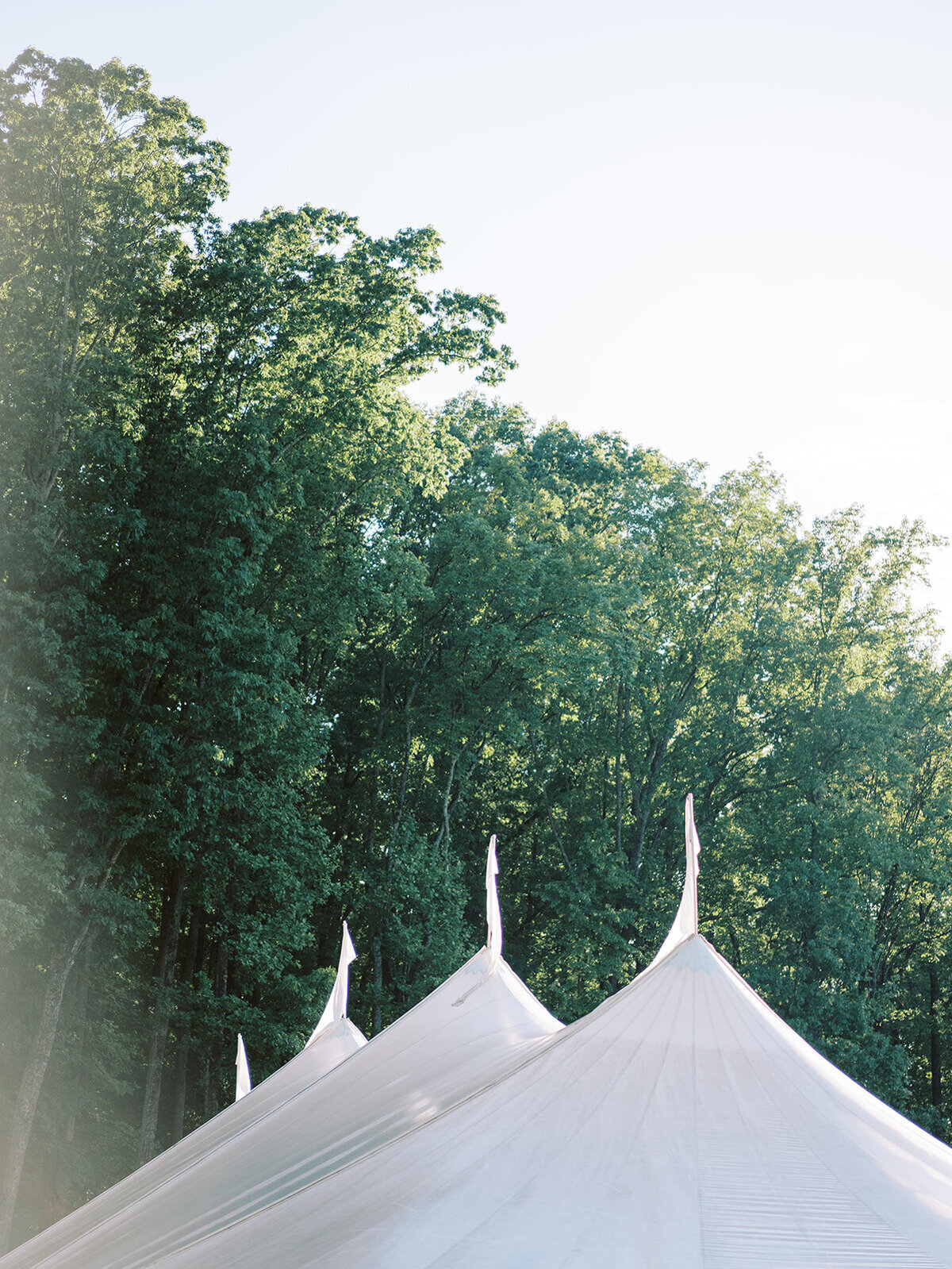 Virginia Wedding Photographer Natalie Jayne Photography-00968