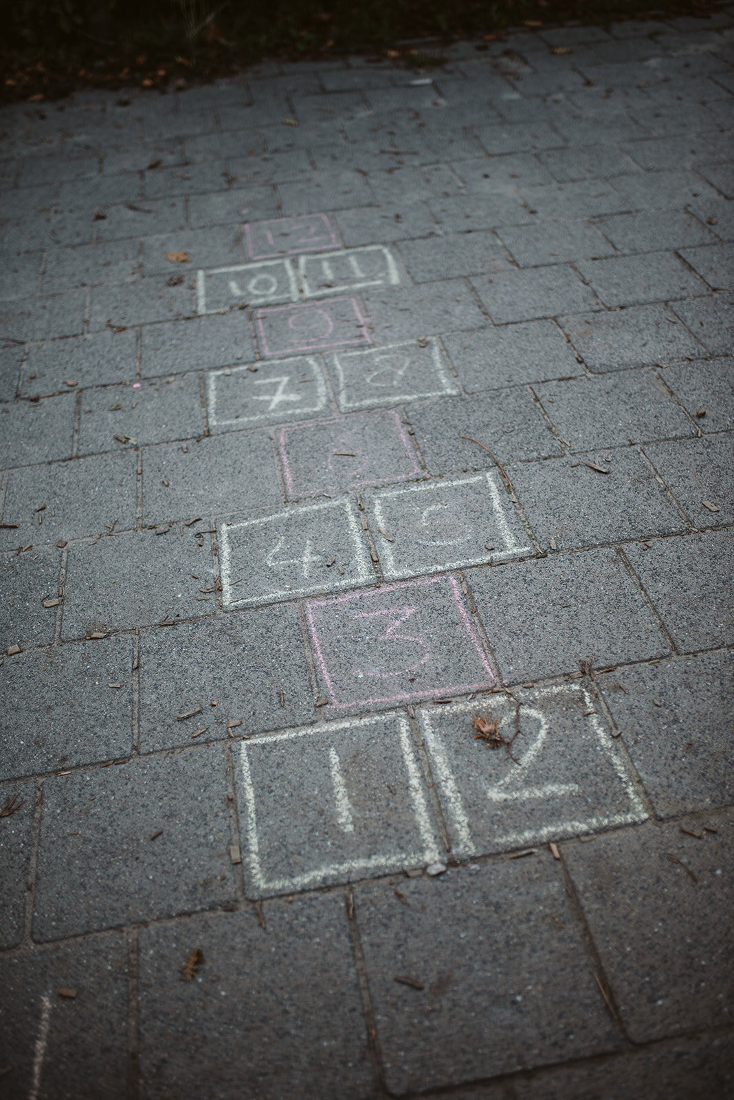 Marianne Bal Photography Business OBS De Bogerd Rossum-7