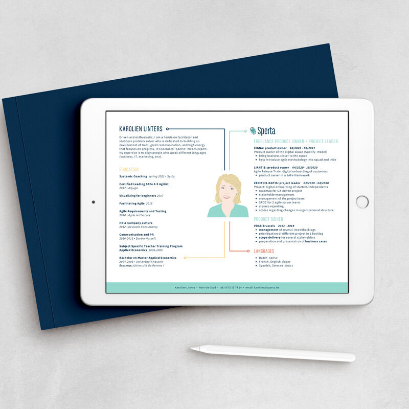 unique resume design for consultant
