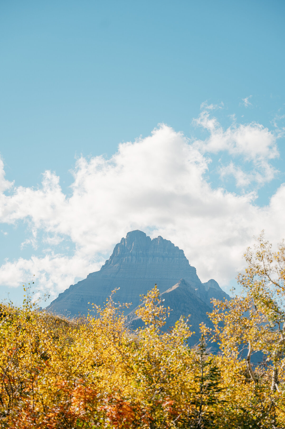 presley-gray-photo-boho-glacier-park-elopement-7888