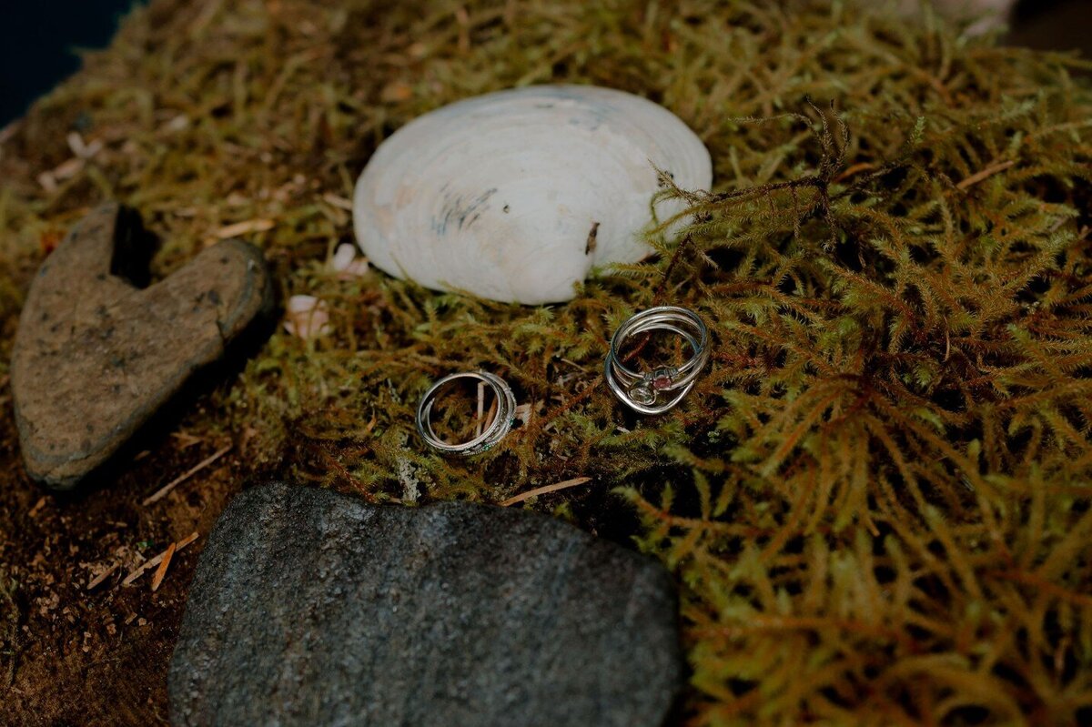 elope-in-minnesota-209