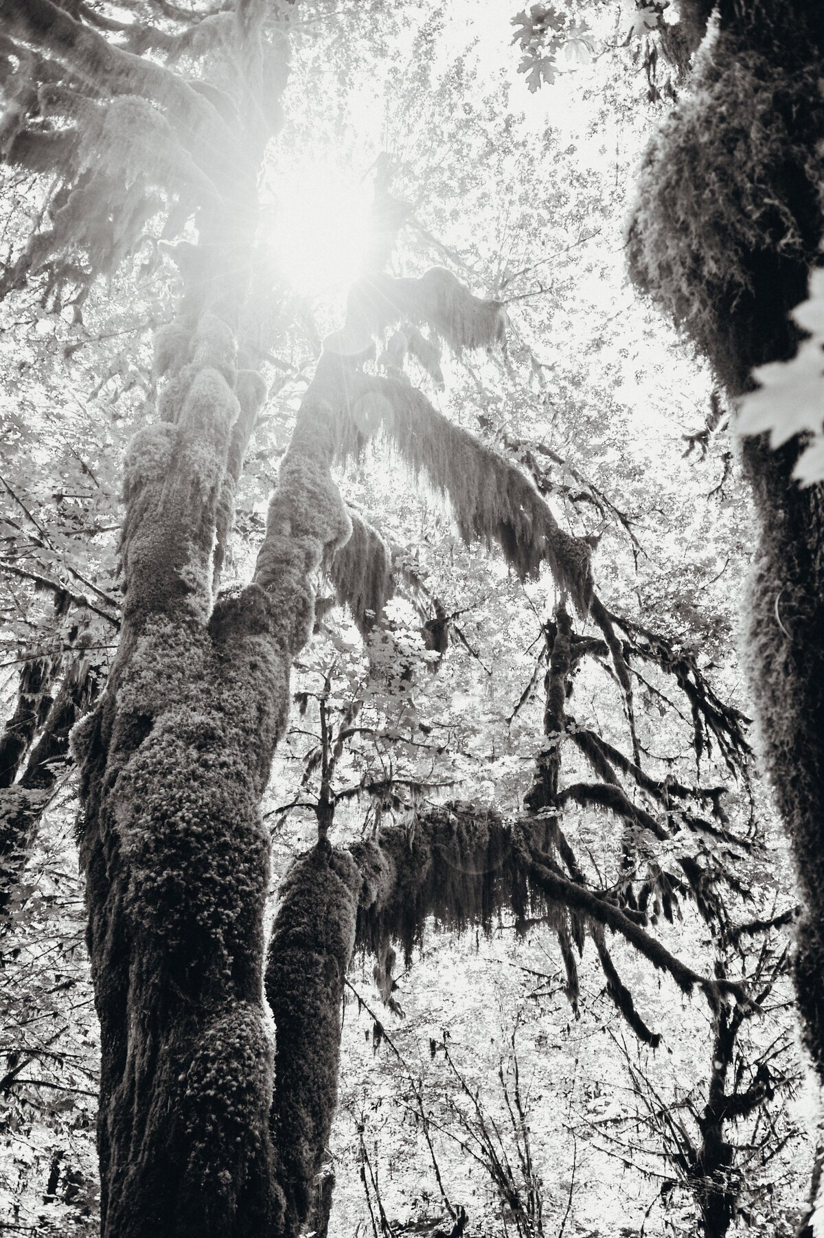 _BEC9012 2