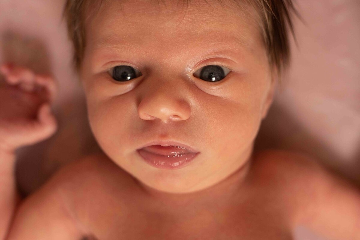 a newborn baby looks into the camera in a close-up