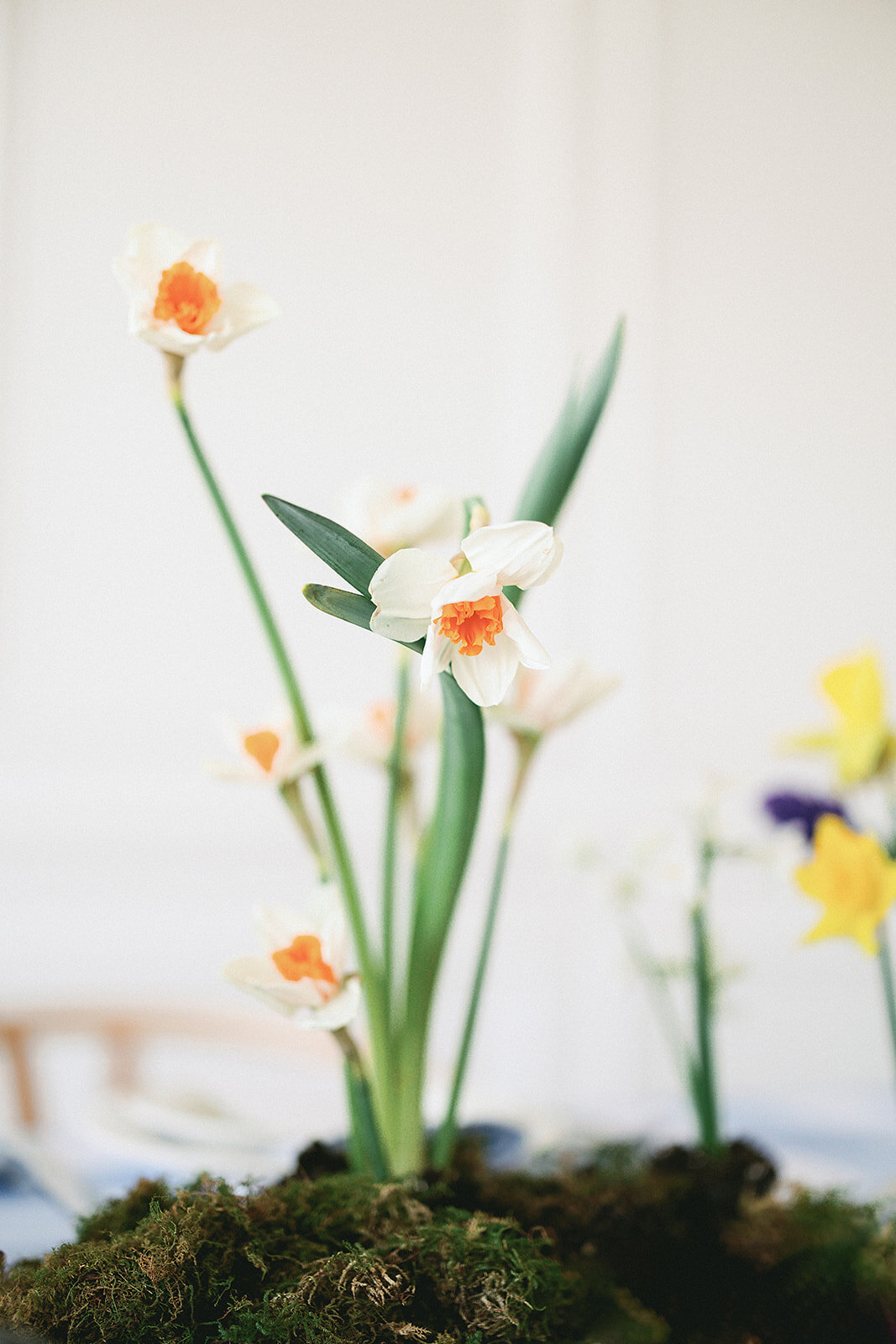 Belle-Event-Co-Elise-Filliccia-Photography-33 (1)