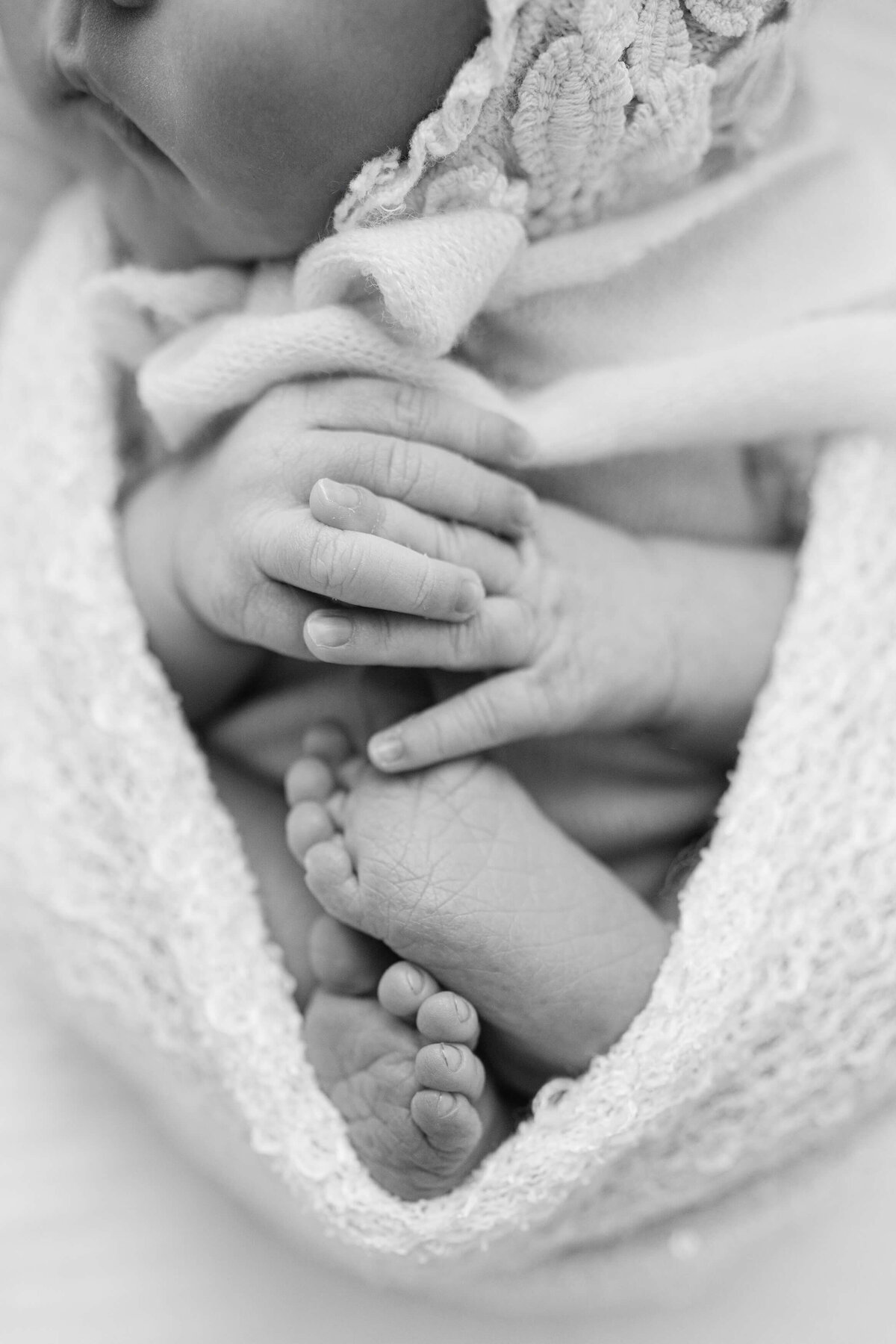 beautiful black and white portrait of newborn feet and hands details