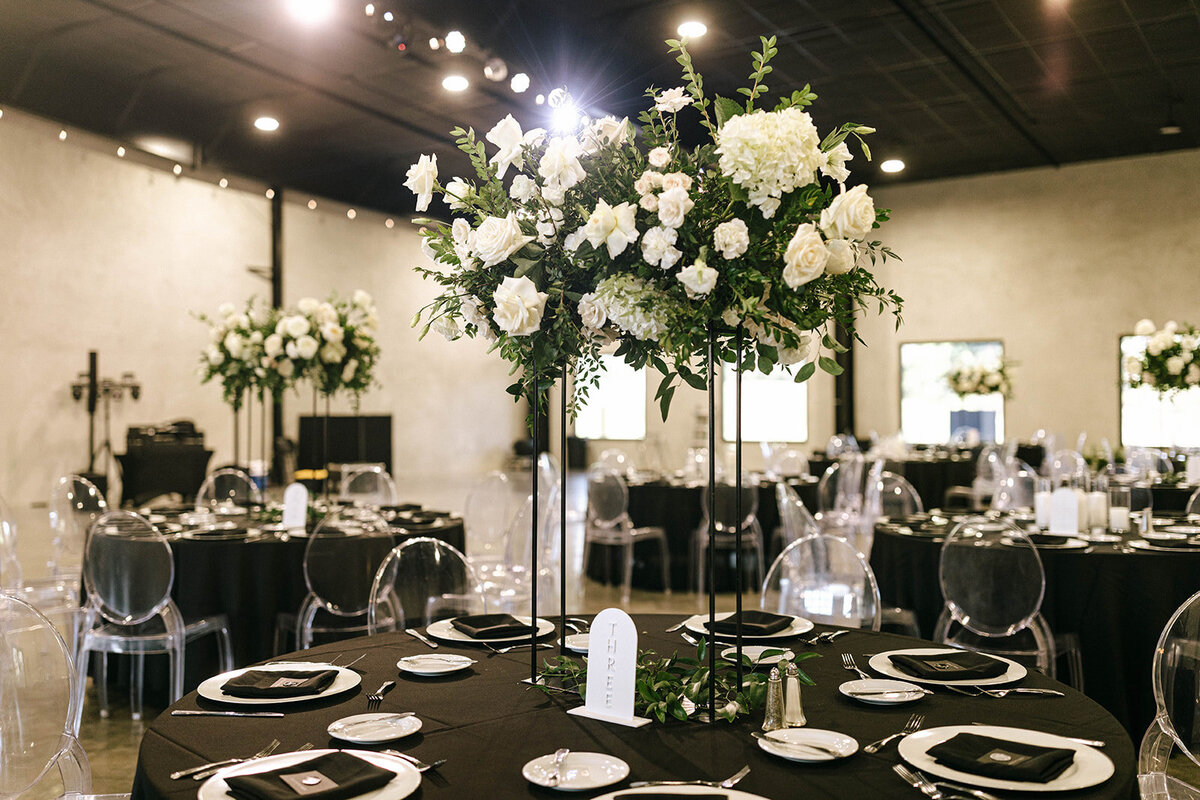 Tiffany Maysonet Photo - STANEK-183