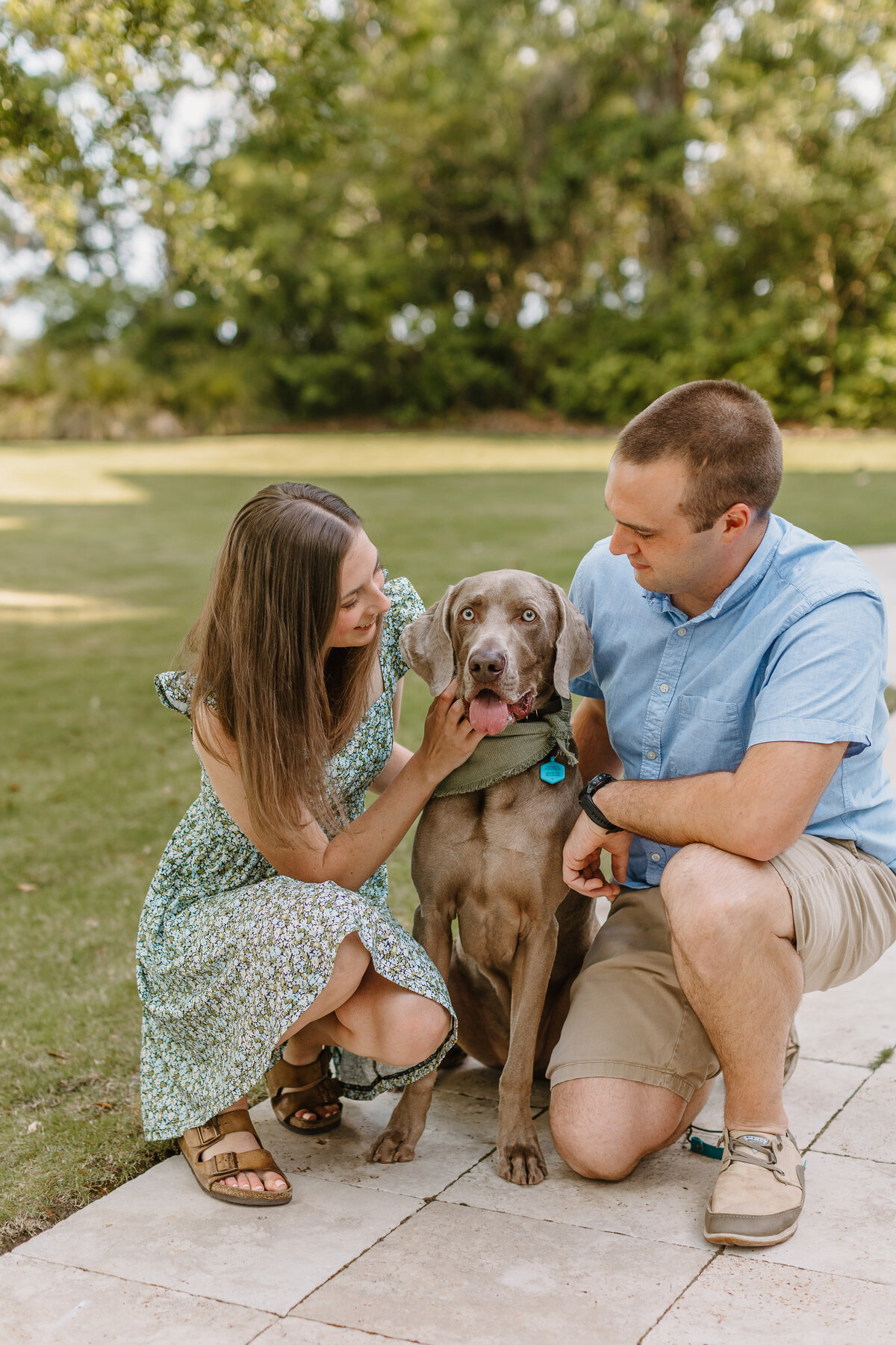 Charley Mae Photography specializes in capturing beautiful dog portraits in Hilton Head Island. Expert, personalized sessions to showcase your furry friend's charm.
